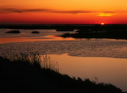 Sunset Brigantine National Wildlife Refuge, Atlantic County, NJ (MF).jpg Sunset Brigantine National Wildlife Refuge, Atlantic County, NJ (MF).jpg